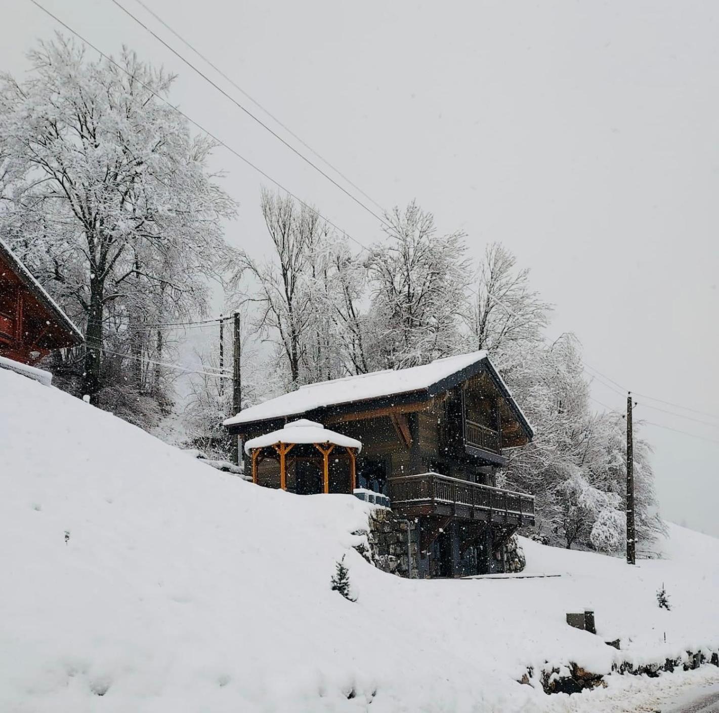 Bonnevaux  Chalet Du Bonheur 빌라 외부 사진