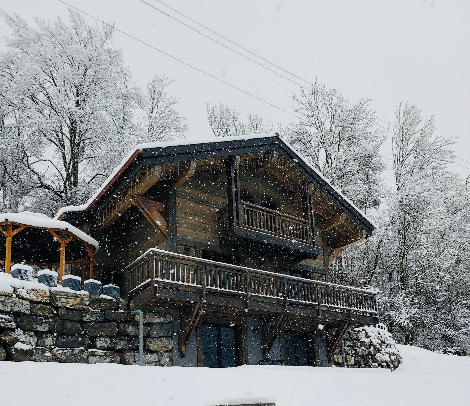 Bonnevaux  Chalet Du Bonheur 빌라 외부 사진