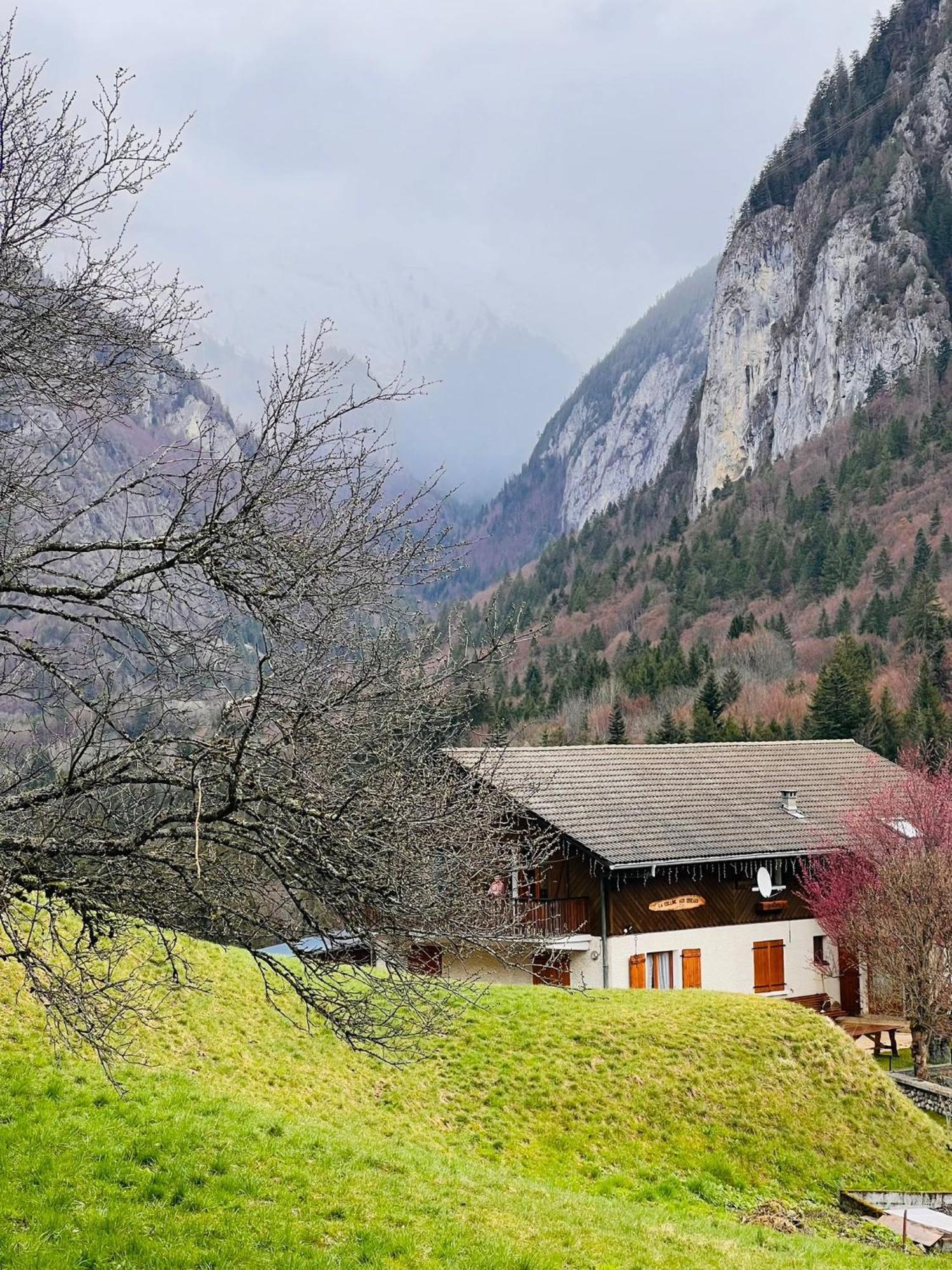 Bonnevaux  Chalet Du Bonheur 빌라 외부 사진