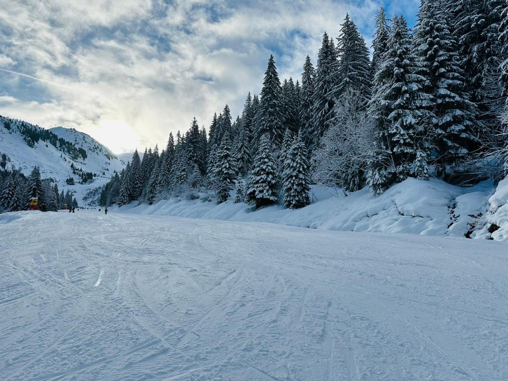 Bonnevaux  Chalet Du Bonheur 빌라 외부 사진